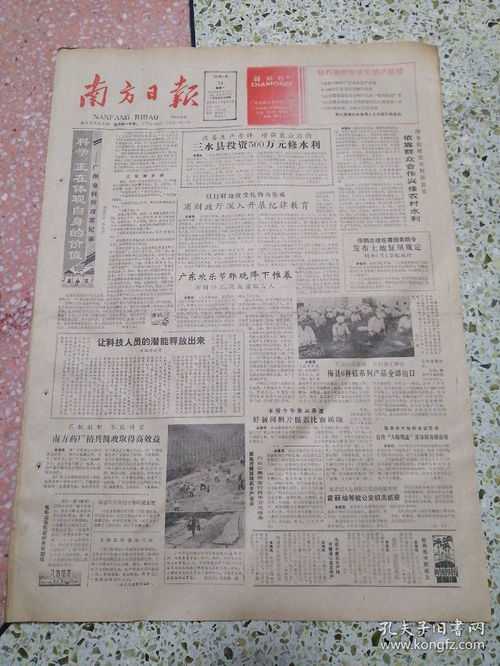 11年农历4月14日亥时五行