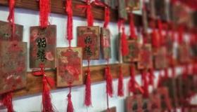 “八字带墙外桃花怎么办-八字墙外桃