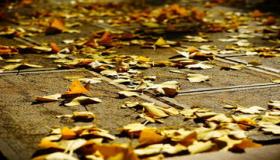 “八字行水火运-行水火运更易发达什