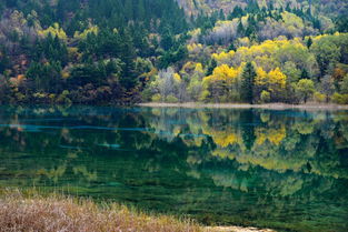 八字水清木秀什么意思