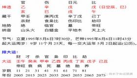 “已生巳月富贵八字-八字 己巳日生于