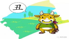 “属牛的和属兔八字合吗-属牛的人跟