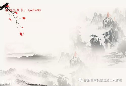 正官格为什么怕行七杀运