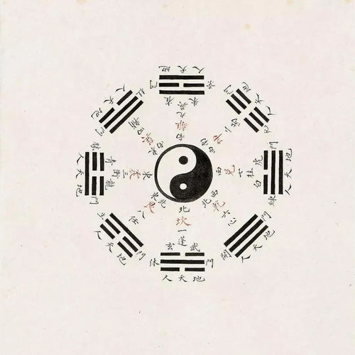 天干八字是什么神