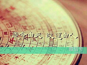 八字七杀正官多