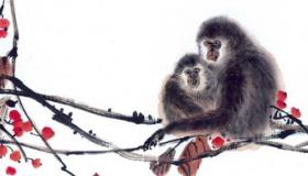 “男属猴女属马的适合做夫妻吗