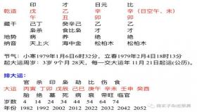 “八字十天干之辛金-十天干气数喜忌