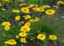 “八字火炎土燥需水调候-八字算命什