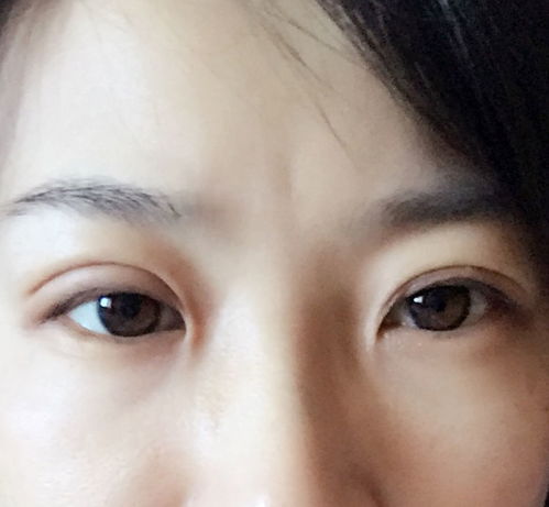 双眼皮在面相学是什么