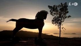 “八月属马的人命运如何