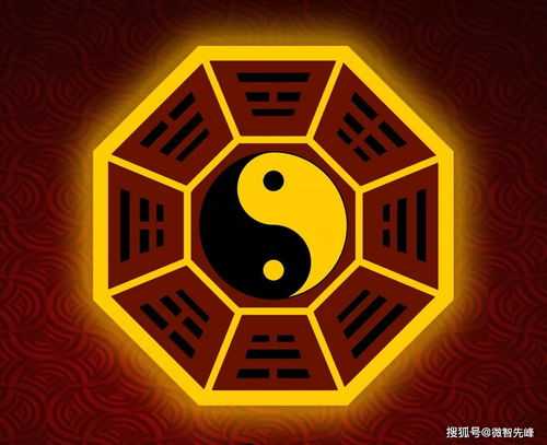 八字中财星在天干好还是地支好