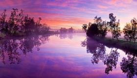 “戊寅日八字木多-日柱为戊寅的命里