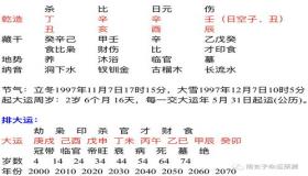 “伤官制杀的八字适合做什么-伤官制