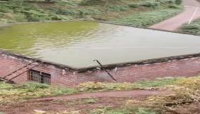 “八字水多能养鱼吗-什么生辰八字的