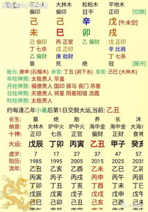 八字地支午是阴还是阳-午火是阳火为啥藏阴丁