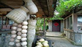 “八字纯阴无土-八字纯阴的人是什么