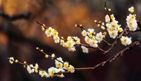 “八字贵人星带财-八字里的贵人星是