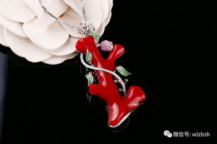 根据生辰八字佩戴物品查询