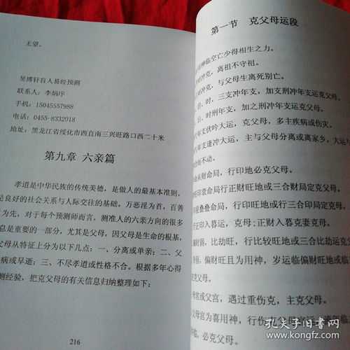 盲派八字论地支