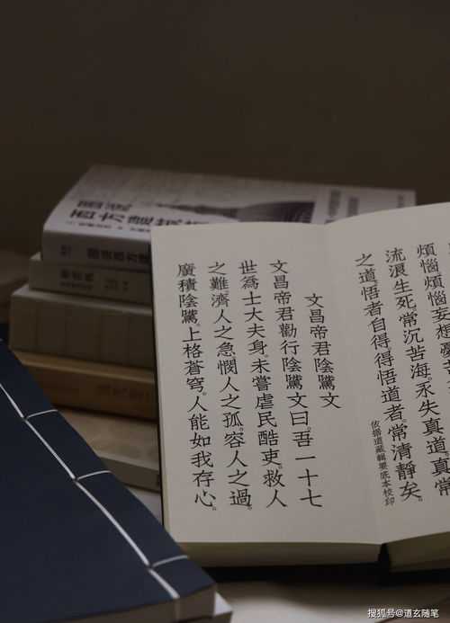 八字日空年空什么意思