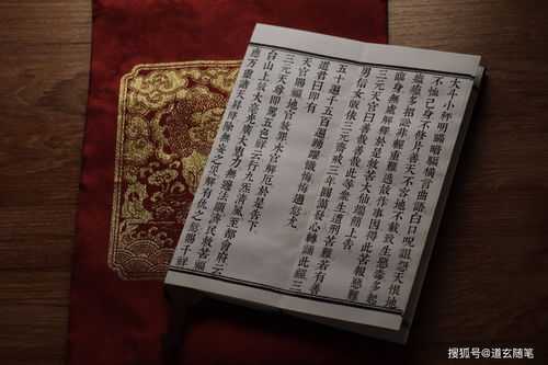 八字 女命 壬戌 庚戌 甲午 丙寅