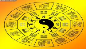 “八字都带木代表什么-八字木多的人