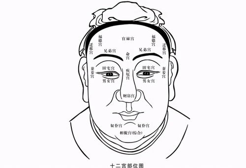算命要根据八字和面相
