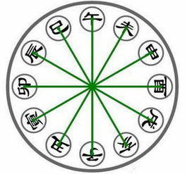 八字地支子午冲