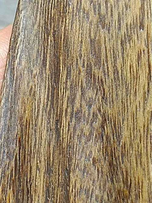 缺水和缺木的人能不能在一起