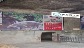 “八字旺衰 胎死墓墓代表不好吗-在八