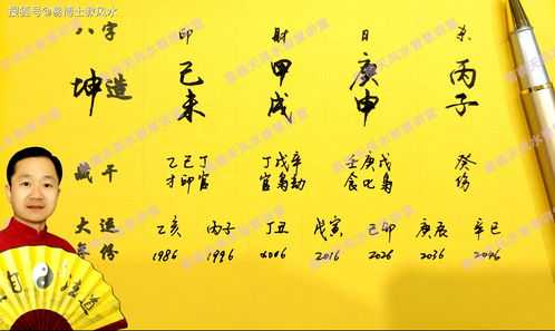 八字丁酉辛亥己未甲戌