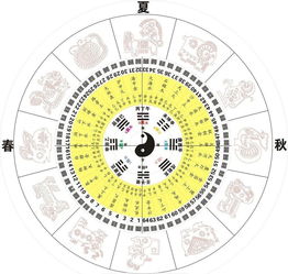 八字辰是什么意思