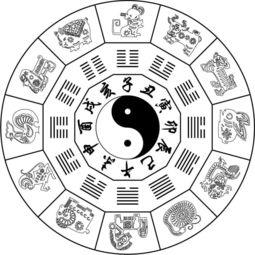 八字地支 戍土是什意思