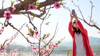 走桃花运的人是不是运气很差