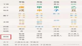 “免费八字排盘查神煞