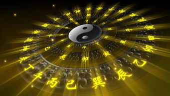 金神八字中是什么意思