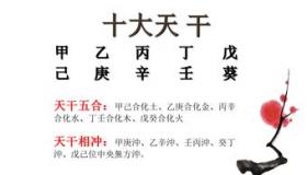 “十二生肖每日运势查询