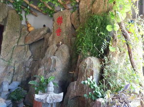 阴宅八个方位代表儿女