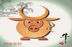 “八字里枭的含义-八字的枭代表什么