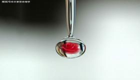 “八字年柱时柱一样吗-人的命主要看