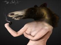 “男羊女马八字-女羊男马婚姻相配吗 