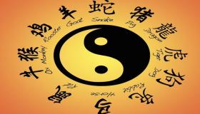 “八字不和什么意思-八字不互补是属