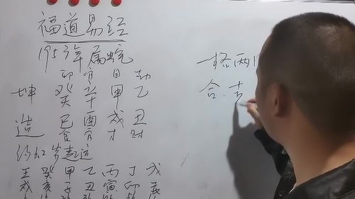 辛巳日癸巳时命主极贵