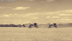 “八字官星入墓-官星入墓对婚姻的影