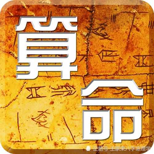 八字偏印坐正财