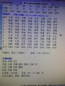 八字四柱有无是啥意思