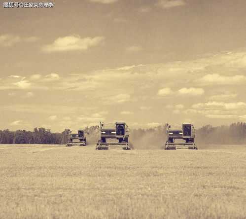 八字论官星入墓