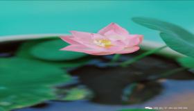 “八字带水的字有哪些-八字代表水的