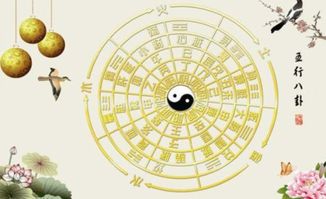 八字五行土太旺