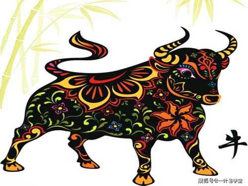 属牛和属龙的人在一起会怎么样